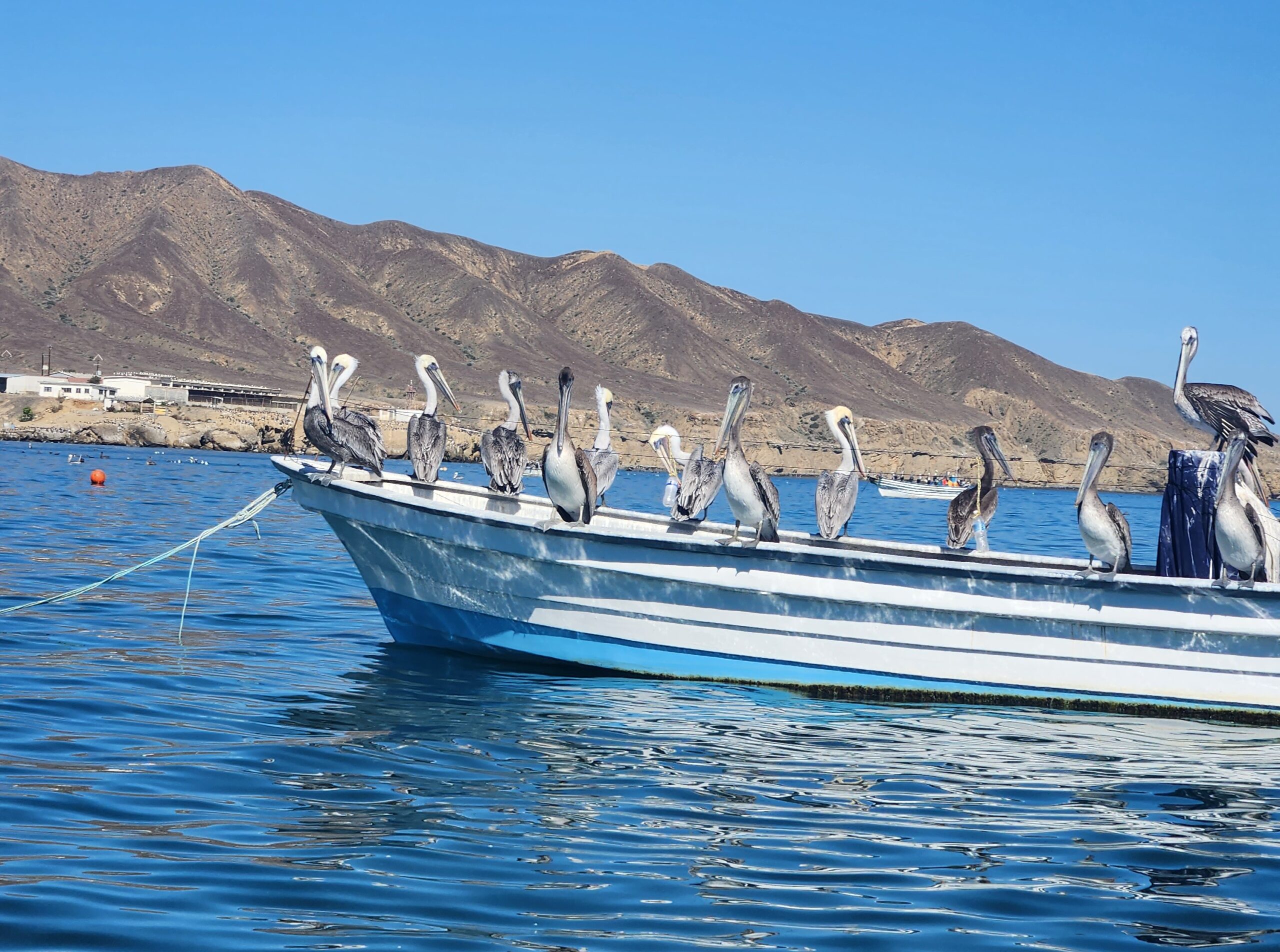Bienvenidos a México! Sailing the Baja Peninsula